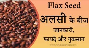 Flax seed in hindi | अलसी के फायदे और नुकसान | Alsi khane ke fayde aur