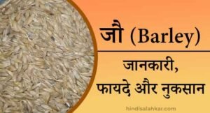 Barley in hindi | जौ के फायदे और नुकसान (Jau aata ke fayde) - HINDI