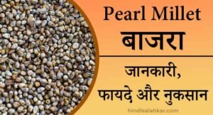 बाजरा खाने के फायदे और नुकसान | Bajra in hindi (Pearl Millet) - HINDI