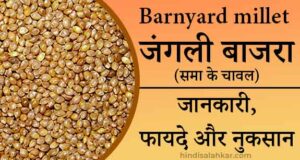 Barnyard millet in hindi