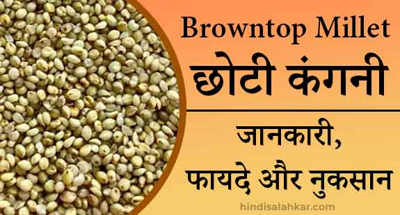 Brown top millet in hindi