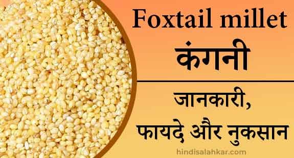 Foxtail millet in hindi explaination