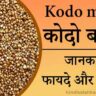 Kodo millet in hindi title and image