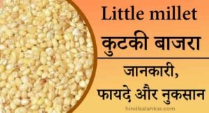 Little Millet in hindi | कुटकी मिलेट के फायदे और नुकसान - Kutki - HINDI